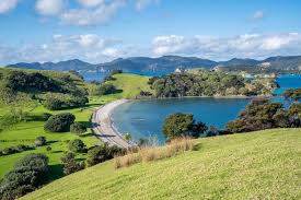 Green farmland sloping down to a sheltered beach in the Bay of Islands